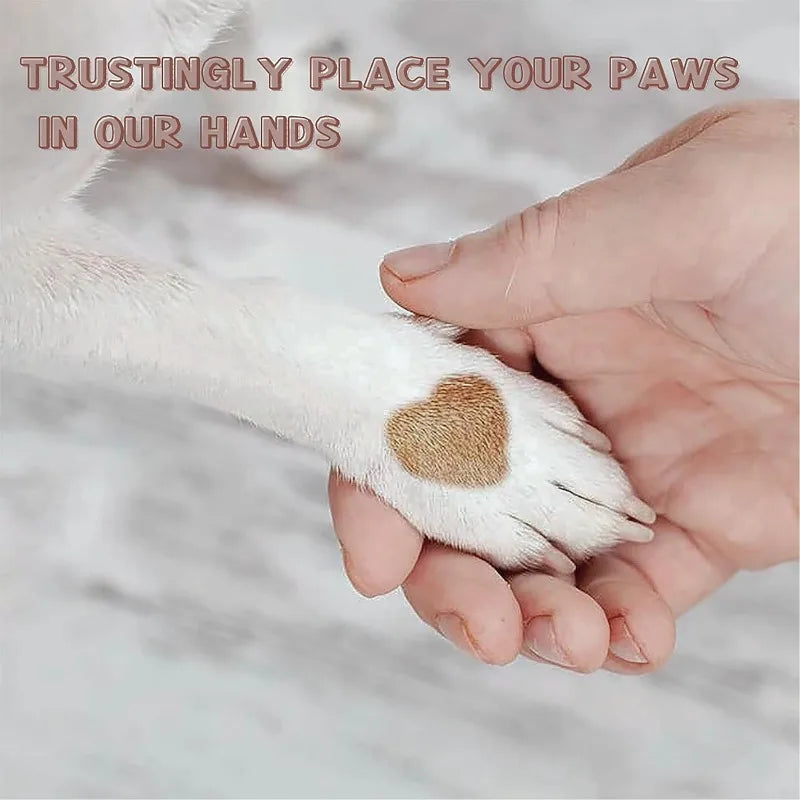 Dog nail scratch board placed flat on floor — non-slip base