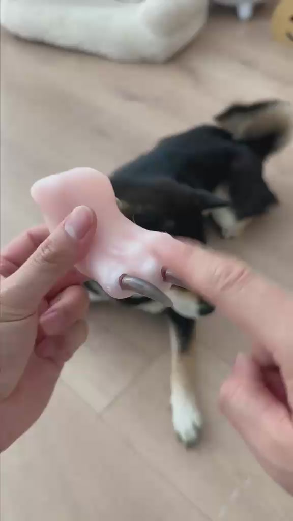 Pet Nail Clippers with LED Light — Safe & Precise Grooming for Dogs & Cats