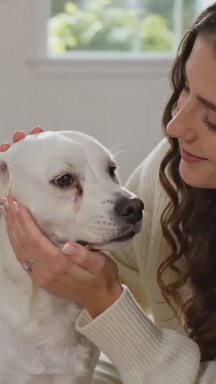 Pet Eye Wipes for Dogs & Cats – Tear Stain Remover